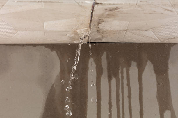 Professional Water Extraction technician working in Eaton, IN
